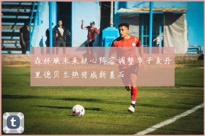 森林狼未来核心阵容调整华子麦丹里德贝兰热将成新基石