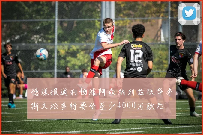 德媒报道利物浦阿森纳利兹联争夺斯文松多特要价至少4000万欧元