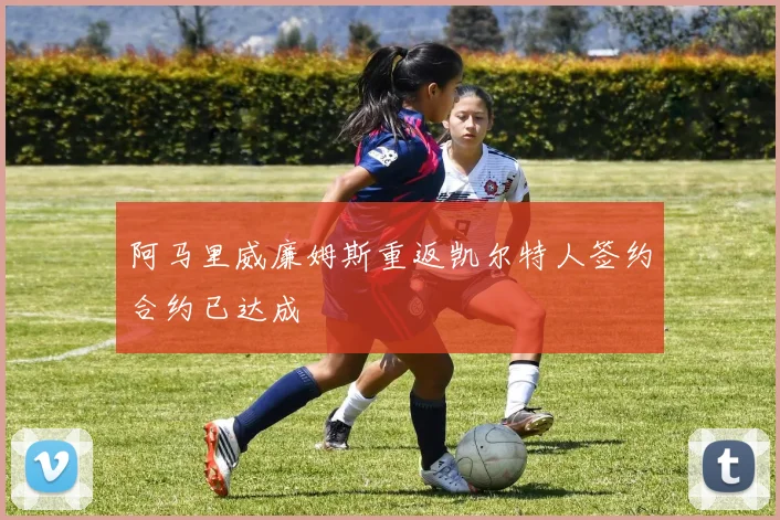 阿马里威廉姆斯重返凯尔特人签约合约已达成